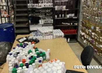 Comércio criminoso de suplementos falsos desmantelado pela DRCPIM