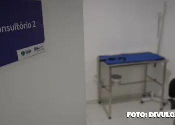 São Gonçalo inicia programa de castração de cães e gatos