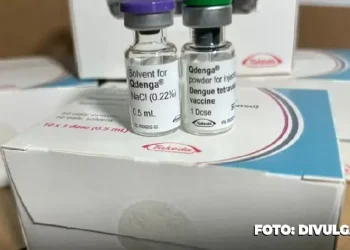 Epidemia de Dengue no Rio de Janeiro Desencadeia Campanha de Vacinação para Crianças