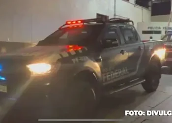 PF em ação: Quadrilha de tráfico de animais desmantelada!