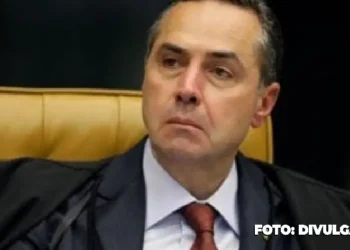 STF Descriminalização do porte de drogas