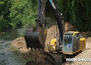São Gonçalo: Estratégias visionárias para a preservação da Mata Atlântica