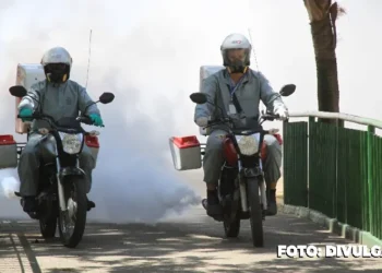 São Gonçalo intensifica medidas de combate ao Aedes aegypti