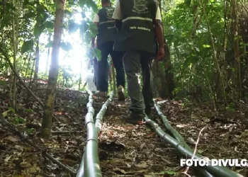 Explore em São Gonçalo a natureza na APA do Engenho Pequeno