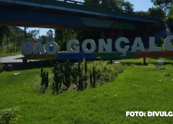 Cuidados com os canteiros em São Gonçalo