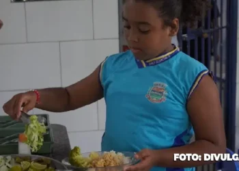Escola Rural de São Gonçalo: Um berço de conscientização ambiental
