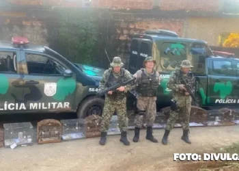 Polícia Ambiental age contra cativeiro ilegal em Rio Bonito e Niterói