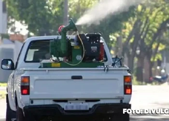Prefeitura inicia o uso do fumacê em áreas estratégicas para combater à dengue