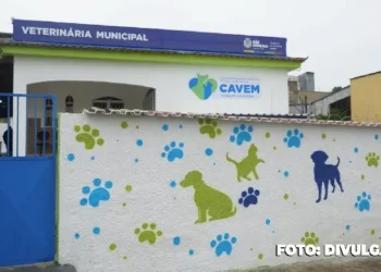 São Gonçalo facilita castrações de animais: agora com novo agendamento online