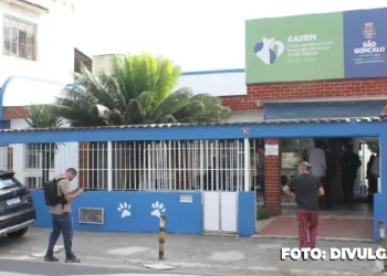 São Gonçalo: Oportunidade para castração responsável de Cães e Gatos