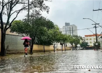 Água deixa rastro de lama e prejuízo no Menino Deus