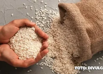 Arroz importado será vendido por até R$ 4 o quilo