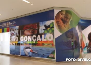 Atendimento dedicado para empreendedores em São Gonçalo