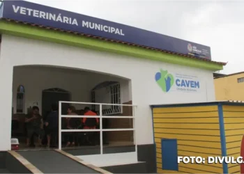 Mutuá e de Alcântara: Castração de Cães e Gatos sem custo