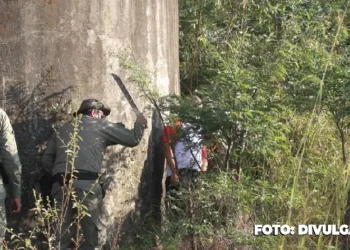 Guardas Municipais são capacitados para combater incêndios na mata