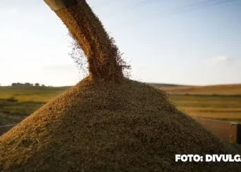 Governo planeja importar arroz após chuvas no RS, revela ministro