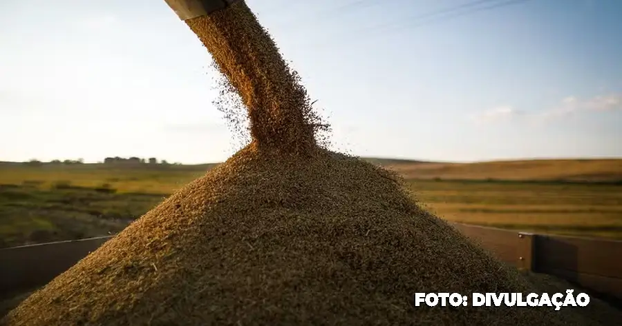 Governo planeja importar arroz após chuvas no RS, revela ministro