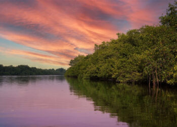 Projeto Do Mangue ao Mar ocupa Casa de Cultura de Itaboraí
