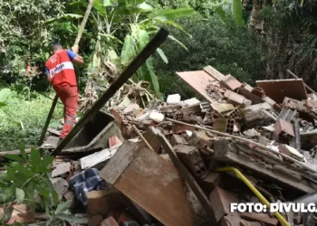 Gated remove construção irregular na região do Barroco, em Itaipuaçu