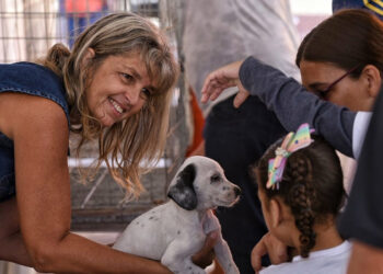 Maricá: Proteção Animal consegue lar para 17 animais