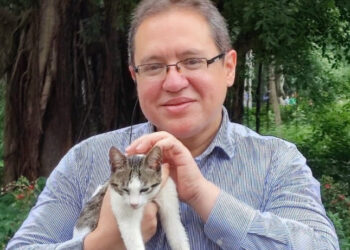 Câmara Municipal aprova lei que garante alimentação e cuidados aos animais comunitários de residenciais cariocas