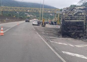 Homem morre após briga entre torcidas do Cruzeiro e do Palmeiras