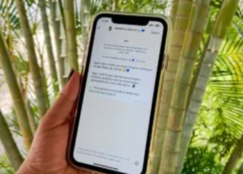 São Pedro da Aldeia lança canal no WhatsApp para comunicação direta com o cidadão | São Pedro da Aldeia