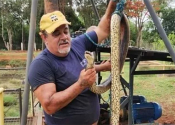 Invasão de sucuri interrompe abastecimento de água em Cordeirópolis