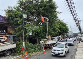 Poda de árvore interdita parcialmente via no Centro de Maricá