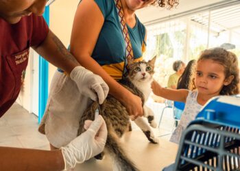 Saúde vacinou mais de 9 mil animais contra a raiva em Inoã e Itaipuaçu