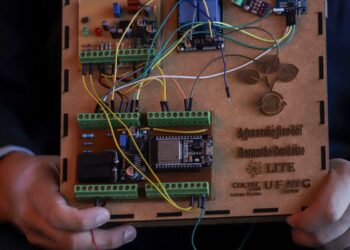 Ideais de transformação social motivaram jovens cientistas premiados