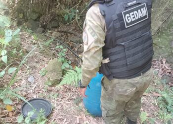 Guarda Municipal resgata jararaca em residência