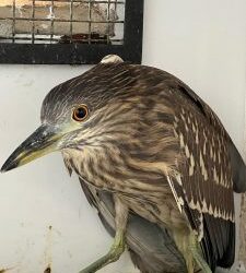 Prefeitura Municipal de São Gonçalo