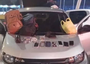 Preso na Ponte Rio-Niterói com carro roubado e aves sem documentação | Enfoco