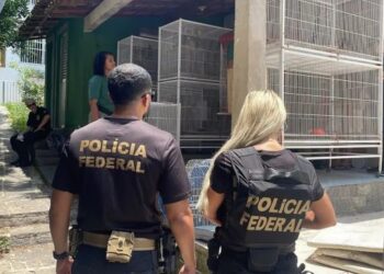 STF decide sobre aposentadoria de policiais civis e federais