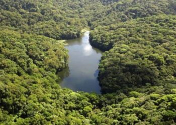 Camorim: uma nova área de preservação ambiental na Zona Oeste