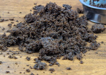 Borra de café vira febre como produto de limpeza poderoso