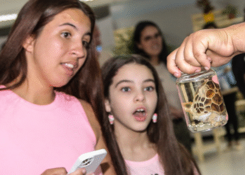 A Secretaria de Estado do Ambiente e Sustentabilidade está promovendo uma edição do programa Educando para a Sustentabilidade, no Palácio de Cristal e na Comunidade do Neylor, em Petrópolis