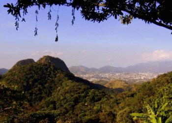 Localizado na Zona Oeste, Parque da Pedra Branca está entre