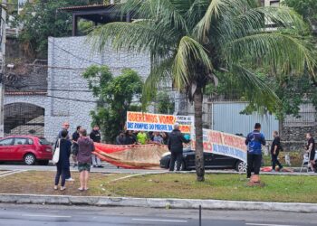 Pilotos protestam por liberação de voos no Parque da Cidade |