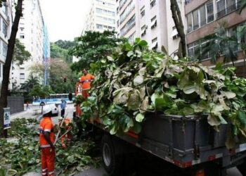 Comlurb e Light fecham acordo sobre podas de árvores no