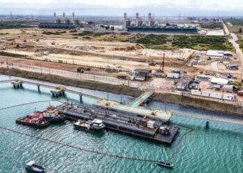 Porto do Açu recebe vistoria técnica para exportação de gado vivo