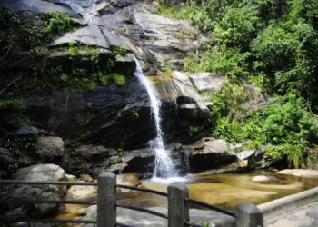 Parque Nacional da Tijuca realiza feira de ciências ao ar livre com foco na vida dos rios da floresta