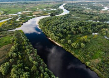 Rios também sofrem influência das marés