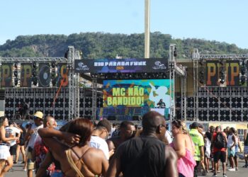 A 15ª edição do Rio Parada Funk reuniu fãs de várias gerações na Apoteose com shows e batalhas de passinho.