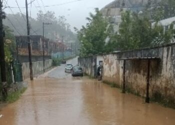 Defesa Civil registra 20 ocorrências após fortes chuvas em Petrópolis, com quedas de árvores, alagamentos e ações preventivas.