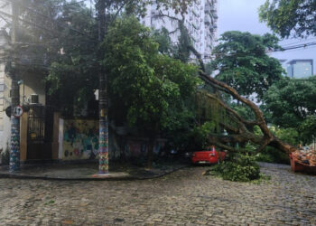 Chuva no RJ mobiliza bombeiros para 33 ocorrências em diversas regiões do estado, com registros de alagamentos e quedas de árvores.
