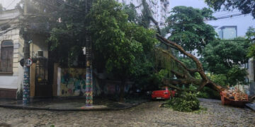 Chuva no RJ mobiliza bombeiros para 33 ocorrências em diversas regiões do estado, com registros de alagamentos e quedas de árvores.