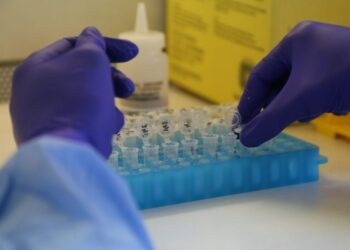 Secretaria de Saúde afirma que não há caso confirmado de mpox em Niterói e alerta contra boatos nas redes sociais.