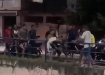 Jacaré aparece em área urbana do Rio, provoca correria e vídeo repercute nas redes sociais